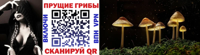 гидра tor  Гуково  Псилоцибиновые грибы Cubensis 